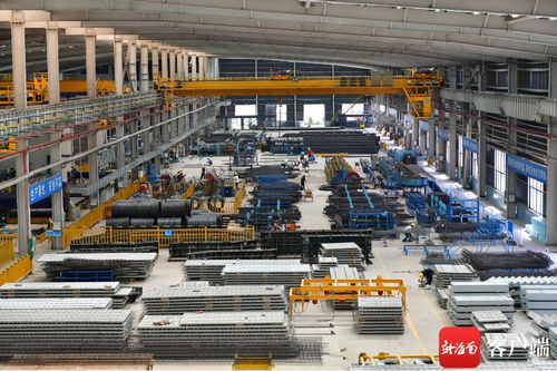 解封后的海口云龍產(chǎn)業(yè)園 建筑工程復工復產(chǎn)有序進行中